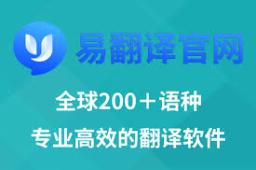 易翻译能翻译移民相关词汇吗？全面解析其功能与局限性